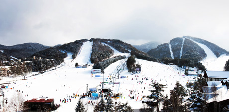 ไป เกาหลี สงกรานต์ นี้ เล่นสกี ดูซากุระ พร้อมกันได้แล้วนะ !