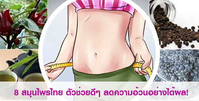 อยากผอมต้องลอง!! 8 สมุนไพรไทยตัวช่วยดีๆ ลดความอ้วนอย่างได้ผล!