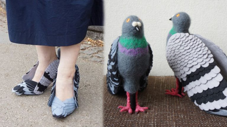 รองเท้านกพิราบ ดีไซน์สุดแปลก!! เหมือนนกจริง จนแยกไม่ออก