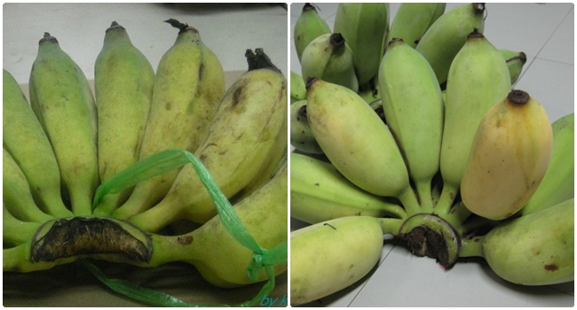 ปวดแสบปวดร้อนกระเพาะอาหาร กระเพาะเป็นแผล รักษาด้วยกล้วยน้ำว้าดิบสิคะ ได้ผล 100% ไม่เกิน 1 เดือนหาย