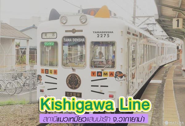รถไฟ Kishigawa Line จังหวัดวากายาม่า ญี่ปุ่น รถไฟธีมแมวเหมียว พบนายสถานีแมวแสนน่ารัก