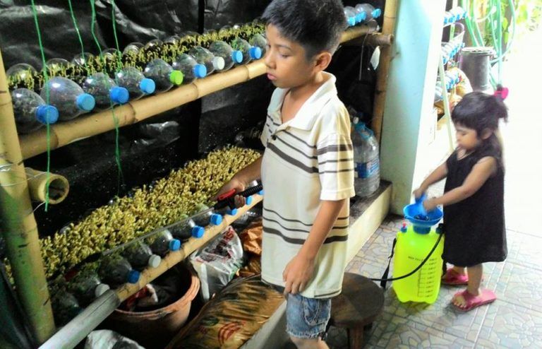 วิธีหารายได้ของเด็ก ป.4 ใช้พื้นที่ข้างบ้านปลูกผักปลอดสารพิษ ปลูก 7 วัน ตัดไปขายตลาดนัด เก็บเงินจ่ายค่าเทอม