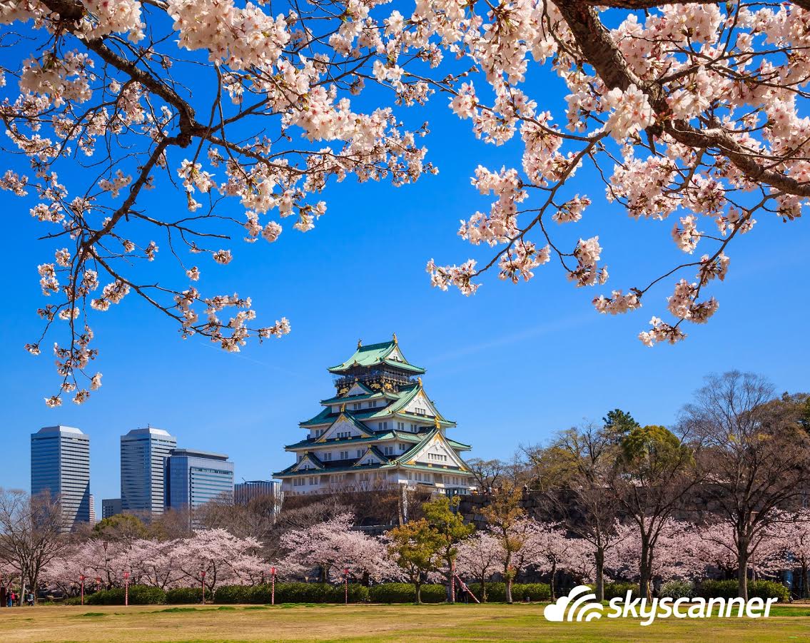 ชมดอกซากุระบาน กับ 3 เมืองเด่นที่ไม่ควรพลาดในญี่ปุ่น