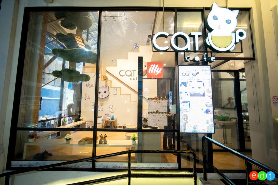 Cat Up Cafe คาเฟ่แมวเหมียว ดีต่อใจทาสแมว@The Up พระราม 3
