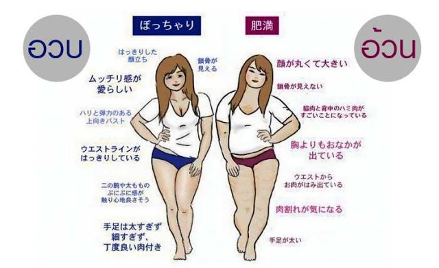 รู้ยัง? ผู้หญิงอวบ และ ผู้หญิงอ้วน ในสายตาของคนญี่ปุ่น แตกต่างกันแบบนี้..!!