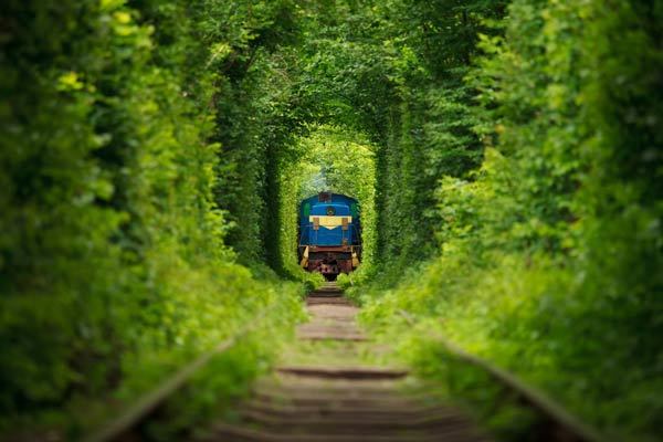 อุโมงค์แห่งความรัก ประเทศยูเครน อุโมงค์รถไฟต้นไม้ที่โรแมนติกที่สุดในโลก สวยจนตะลึง