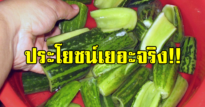 หามากินด่วน!! ประโยชน์ของแตงไทย ผลไม้ไทยๆ ที่ไม่ควรมองข้าม