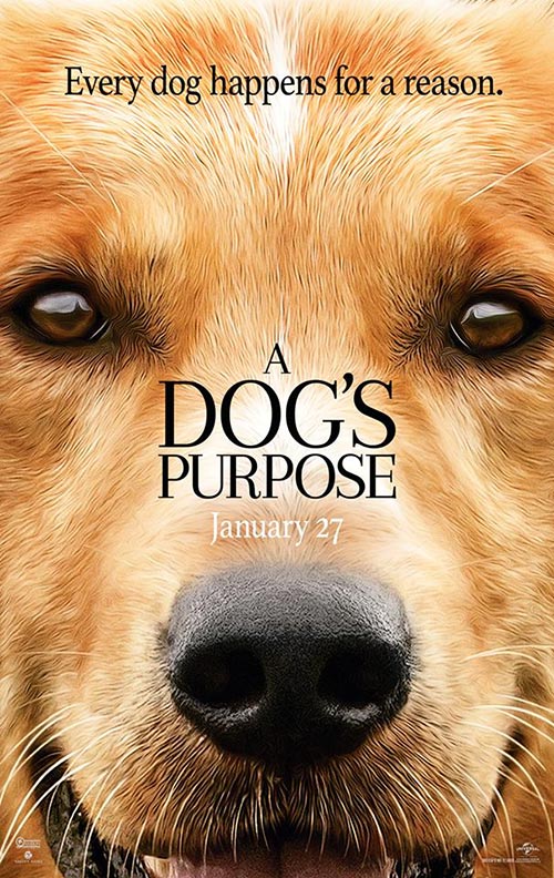 ตัวอย่างแรก A Dog's Purpose หาคำตอบว่าหมาเกิดมาทำไม ?