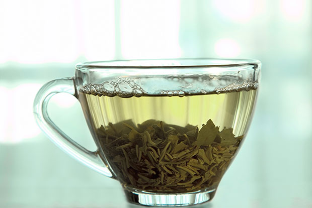 5 เหตุผลที่ควรดื่มชาเขียวมัทฉะทุกวัน