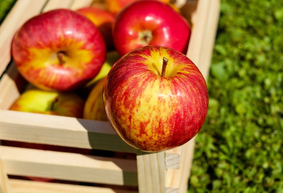 แอปเปิ้ล ผลไม้ที่ไม้ได้มีดีแค่อร่อย แต่ยังแฝงไปคุณประโยชน์มากมาย