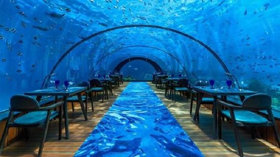 ร้านอาหารใต้ทะเลที่ใหญ่ที่สุดในโลก อยู่ในมัลดีฟส์!