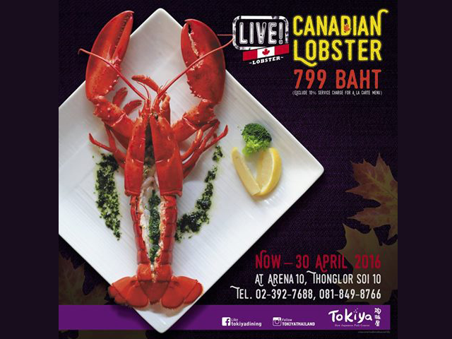 Live Canadian Lobster 799 (วันนี้ - 30 เม.ษ. 2559)