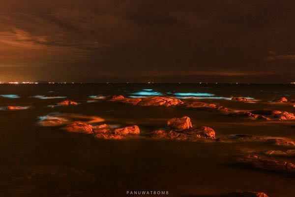 แพลงก์ตอนเรืองแสง บางแสน จังหวัดชลบุรี ปรากฏการณ์ทะเลเรืองแสงสีฟ้า ธรรมชาติในยามค่ำคืนที่ห้ามพลาด